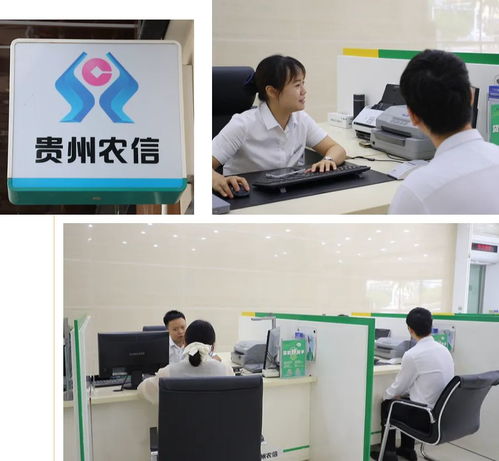 金融活水潤萬山系列報道之一 信息技術(shù)咨詢服務(wù)助力萬山破解養(yǎng)殖融資難題