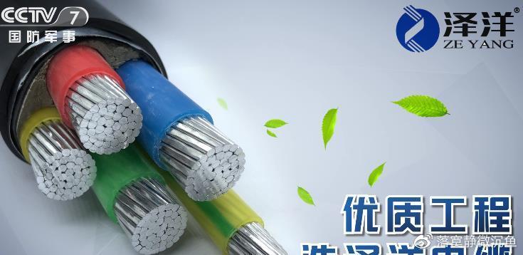 中央電視臺廣告代理公司消息,澤洋電纜央視七套廣告展播